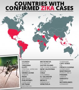 zika-virus-417323