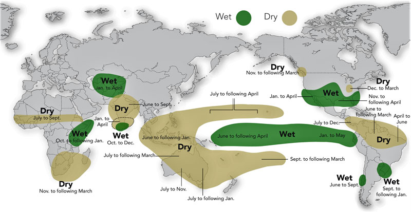 El Nino ve bıraktığı yağışın haritası. Wet- yağışlı, Dry- kurak